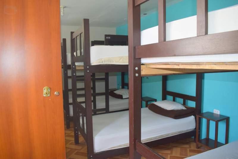 Mango Hostel B&B Arequipa Kültér fotó
